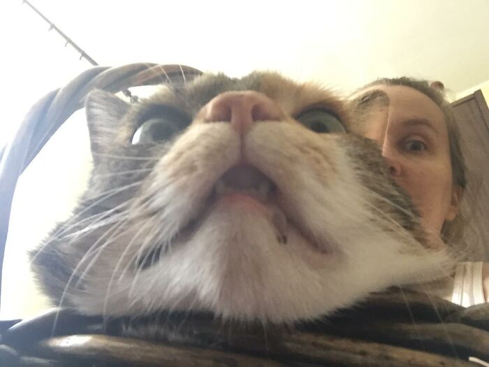 Selfie Queen With Big Dream