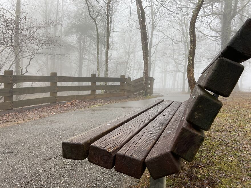 Bench