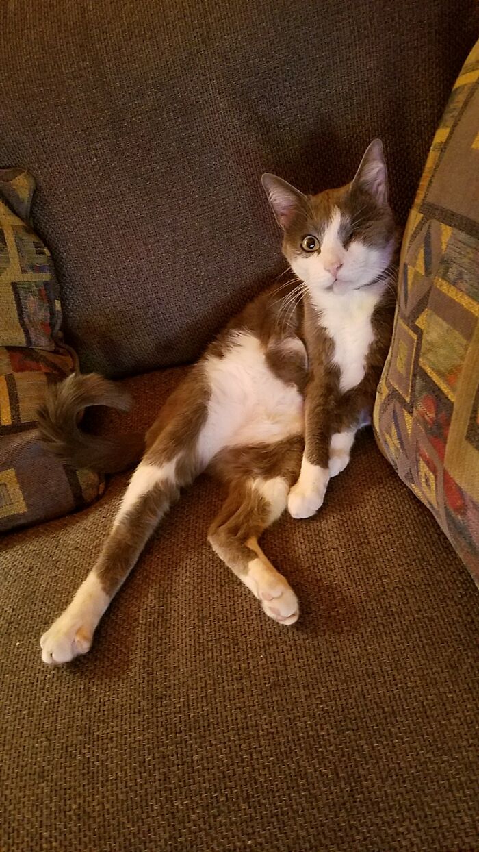 Karl, The One-Eyed Weird Sitter.