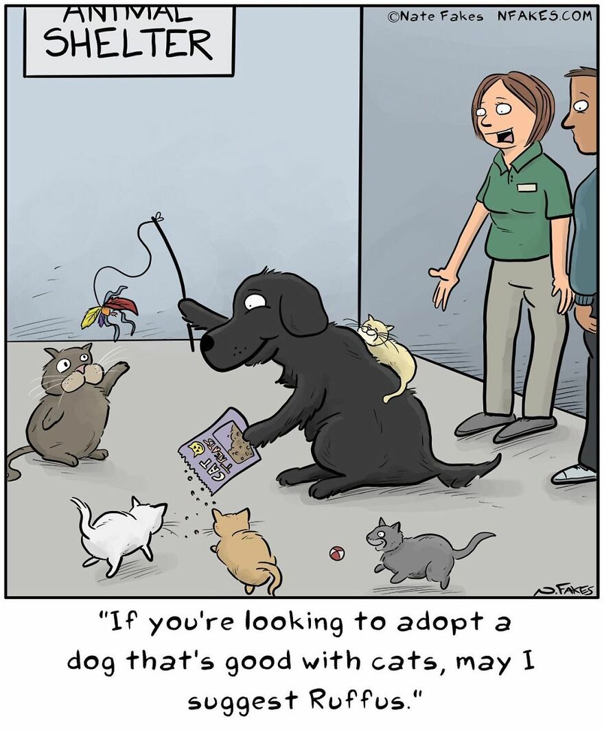 Meet The Humor Of Nate Fakes, The Illustrator Who Will Surely Brighten Your Day