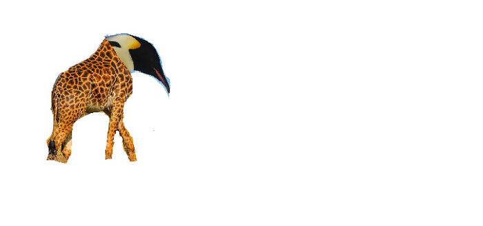 Im Not Entirely Sure Why I Made This