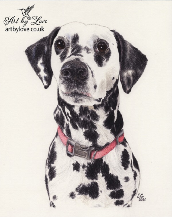 I Am Doing A Portrait To Help Raise Money For A Family Who Lost Their Home Because Of The Earthquake