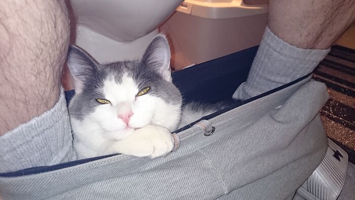 ... No Concept Of Bathroon Privacy!