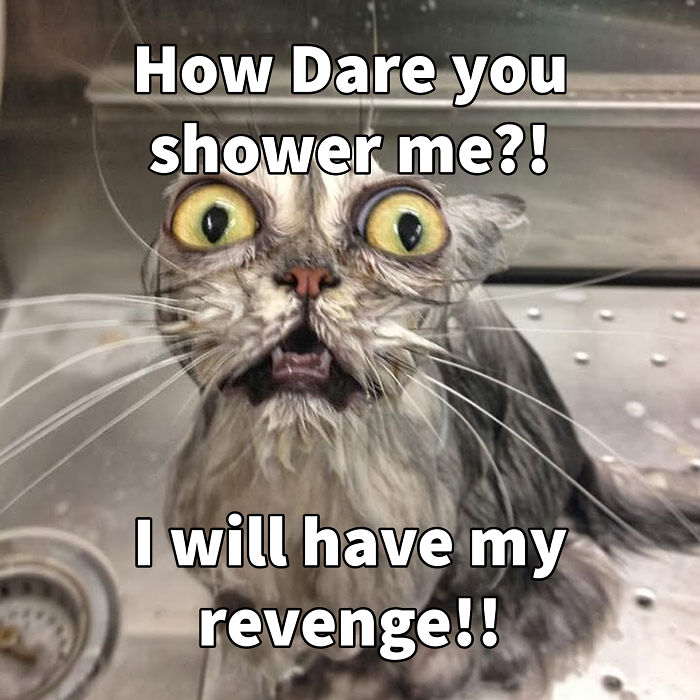 This Will Not Stand!