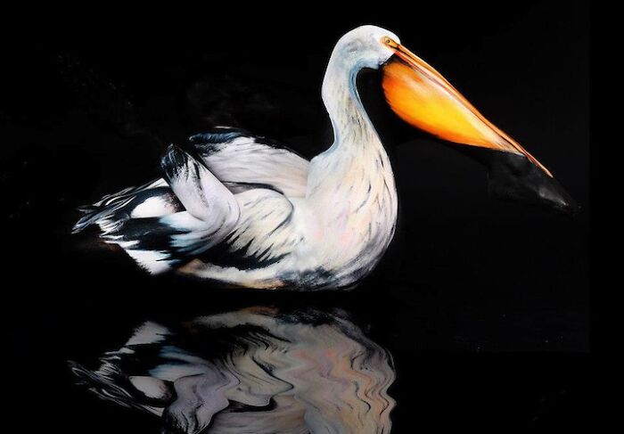 The Animals Painted On This Artist's Contorted Models Will Stir Your Mind