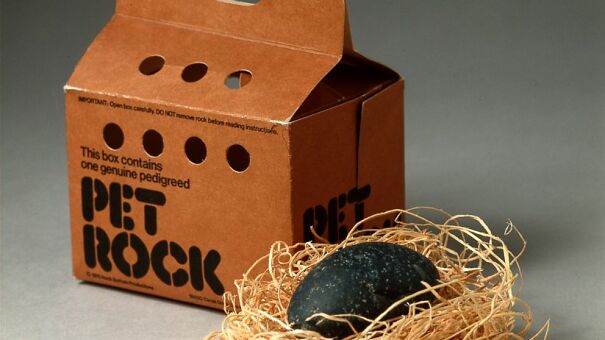 PET-ROCK-602eaea47c6e6.jpg