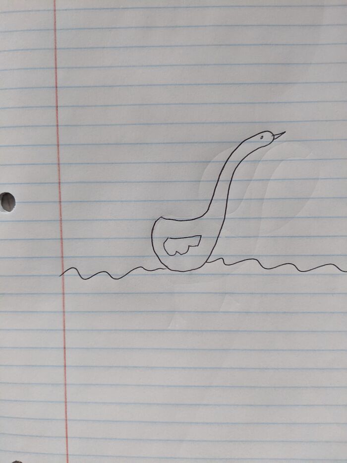 Never Before Have I Seen A Duck With Such A Long Neck