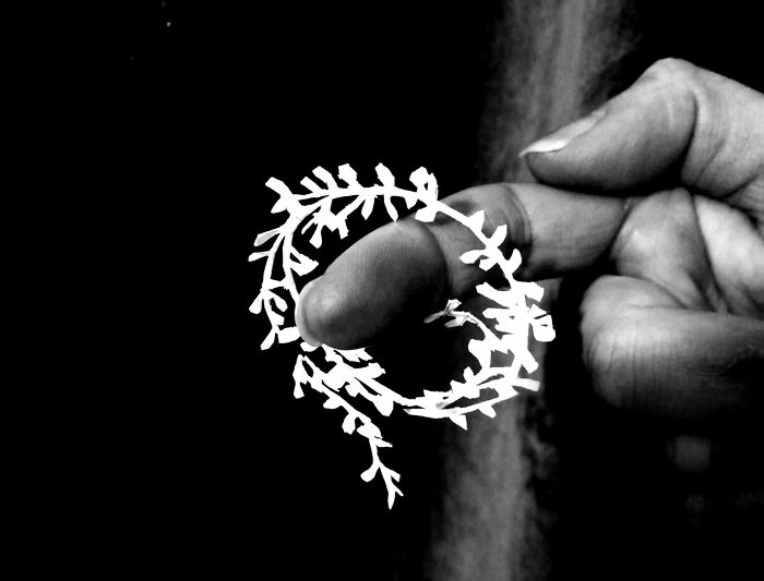 Paper-Art-I-Cut-Paper-Vyoti-Tuheli