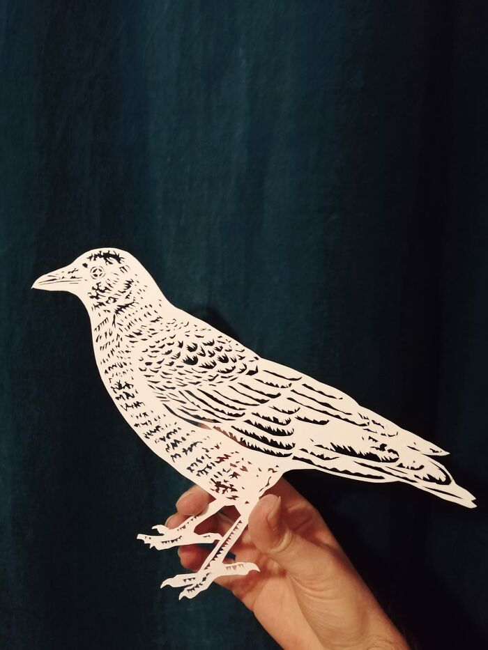 Paper-Art-I-Cut-Paper-Vyoti-Tuheli