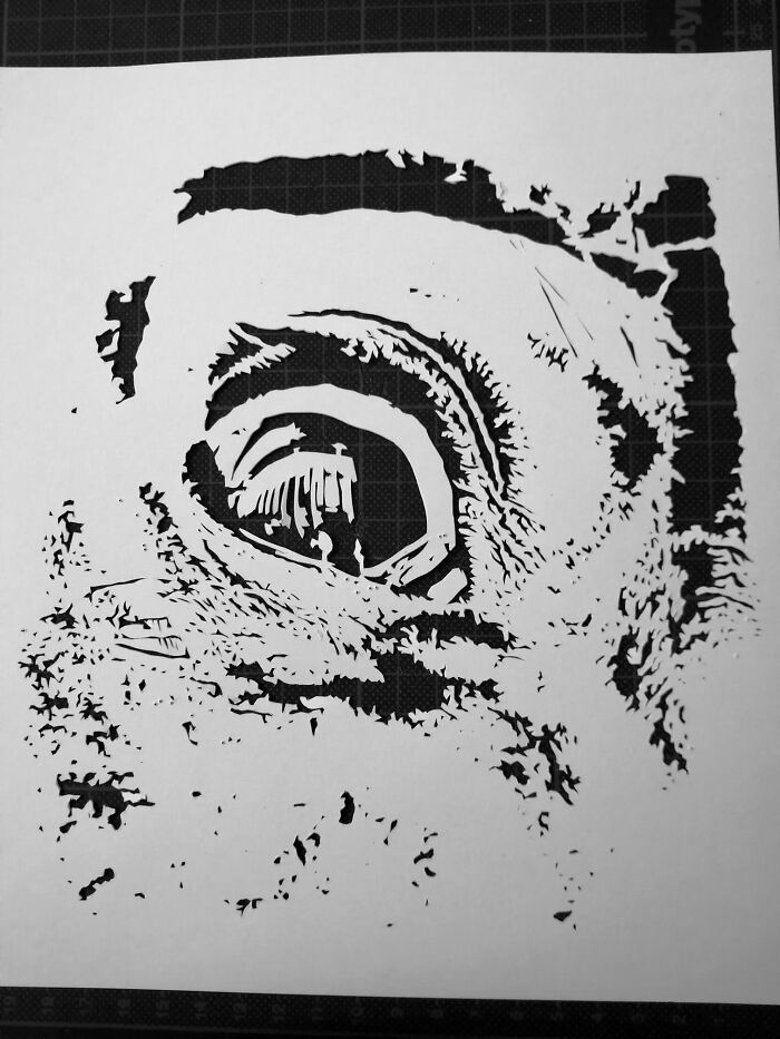 Paper-Art-I-Cut-Paper-Vyoti-Tuheli