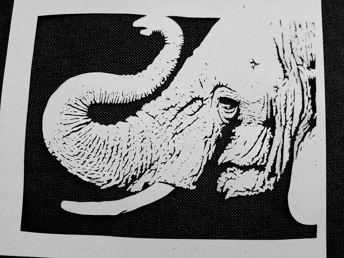 Paper-Art-I-Cut-Paper-Vyoti-Tuheli