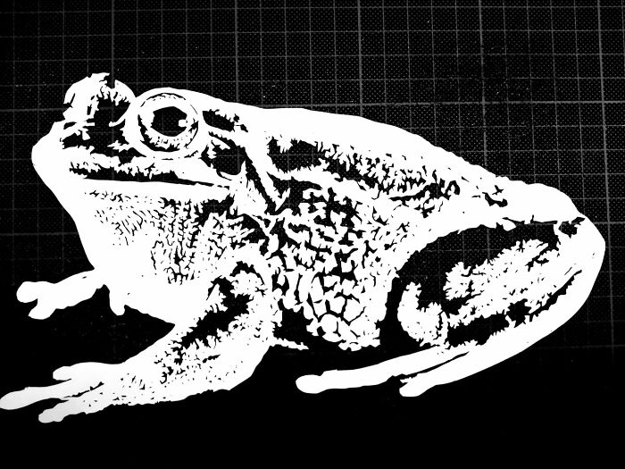 Paper-Art-I-Cut-Paper-Vyoti-Tuheli