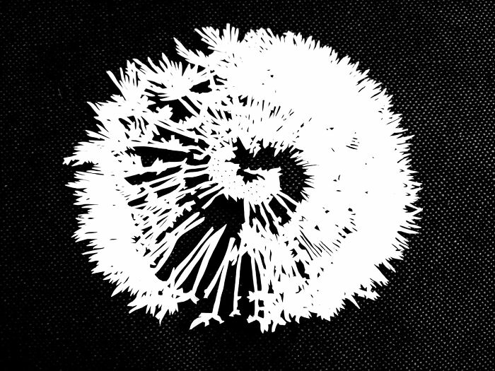 Paper-Art-I-Cut-Paper-Vyoti-Tuheli