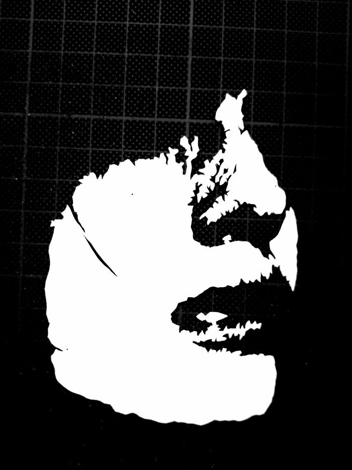 Paper-Art-I-Cut-Paper-Vyoti-Tuheli