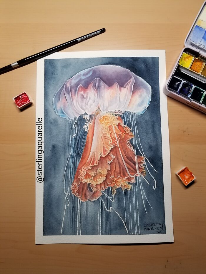 Not My Usual Subject