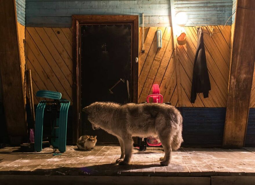 Photographer Alexey Vasiliev Shows The Daily Life Of Russia's Coldest Region