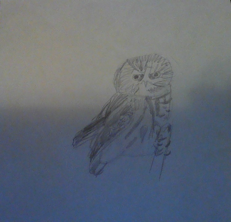 Post A Photo Of A Drawing You Made