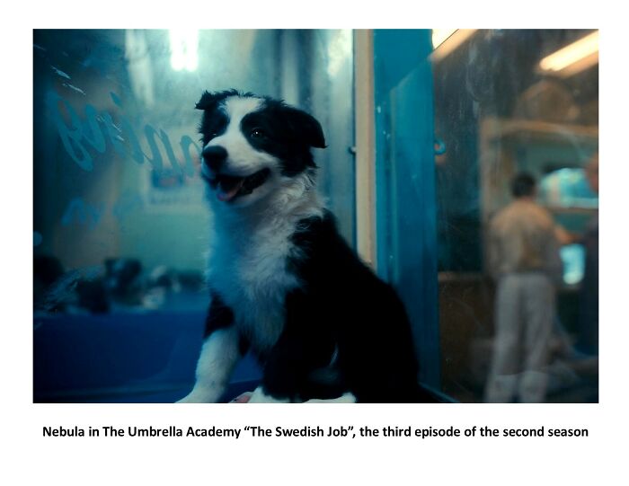 Nebula Started Her Acting Career!