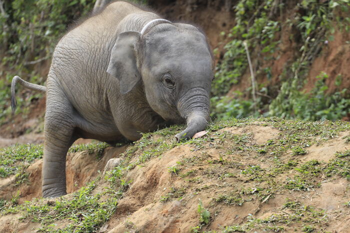 This Is David. Say Hi!