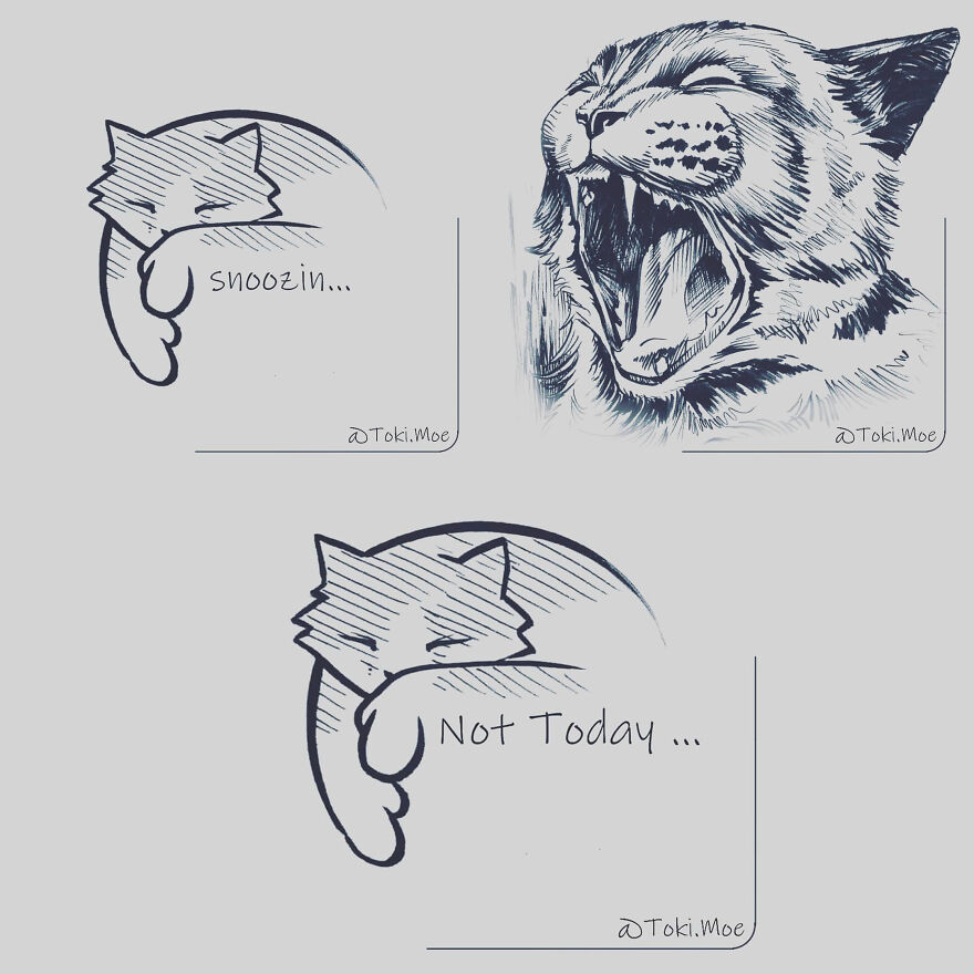 Relatable Comics That Sum Up The Simple Beauty Of Living With Our Pets!