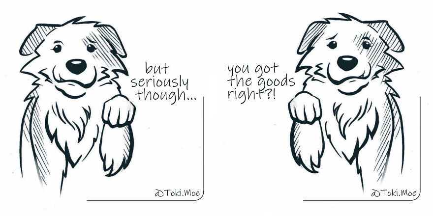 Relatable Comics That Sum Up The Simple Beauty Of Living With Our Pets!