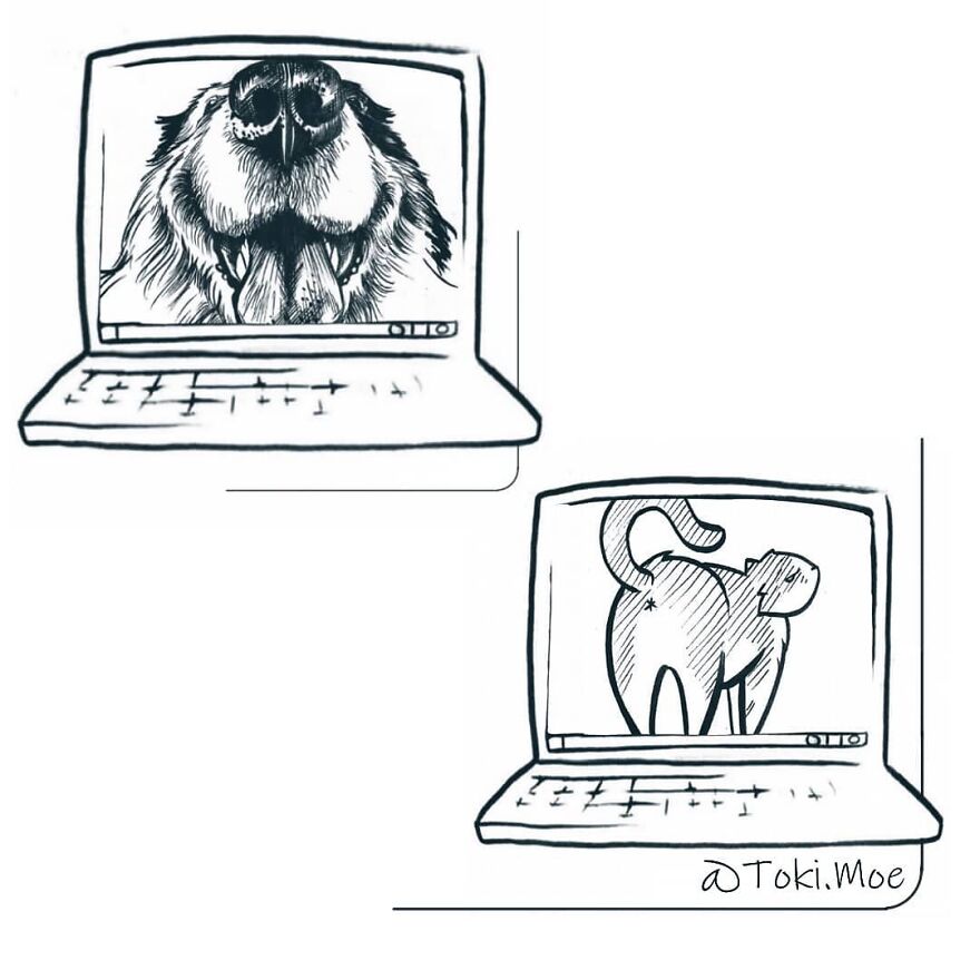 Relatable Comics That Sum Up The Simple Beauty Of Living With Our Pets!