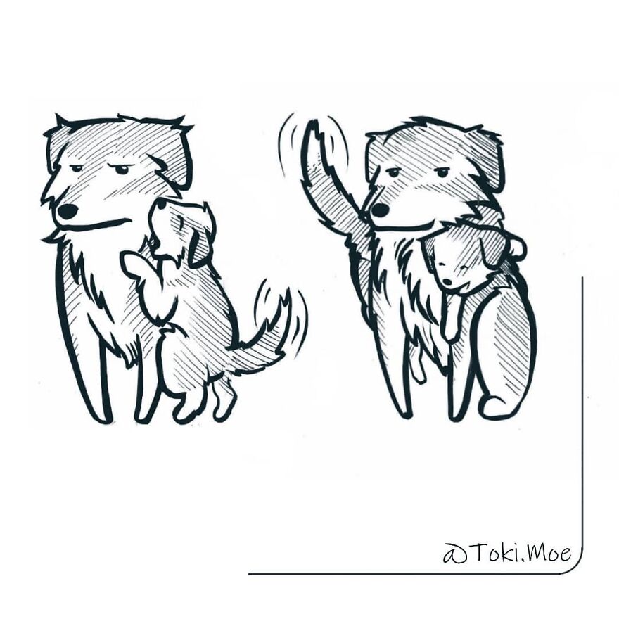 Relatable Comics That Sum Up The Simple Beauty Of Living With Our Pets!