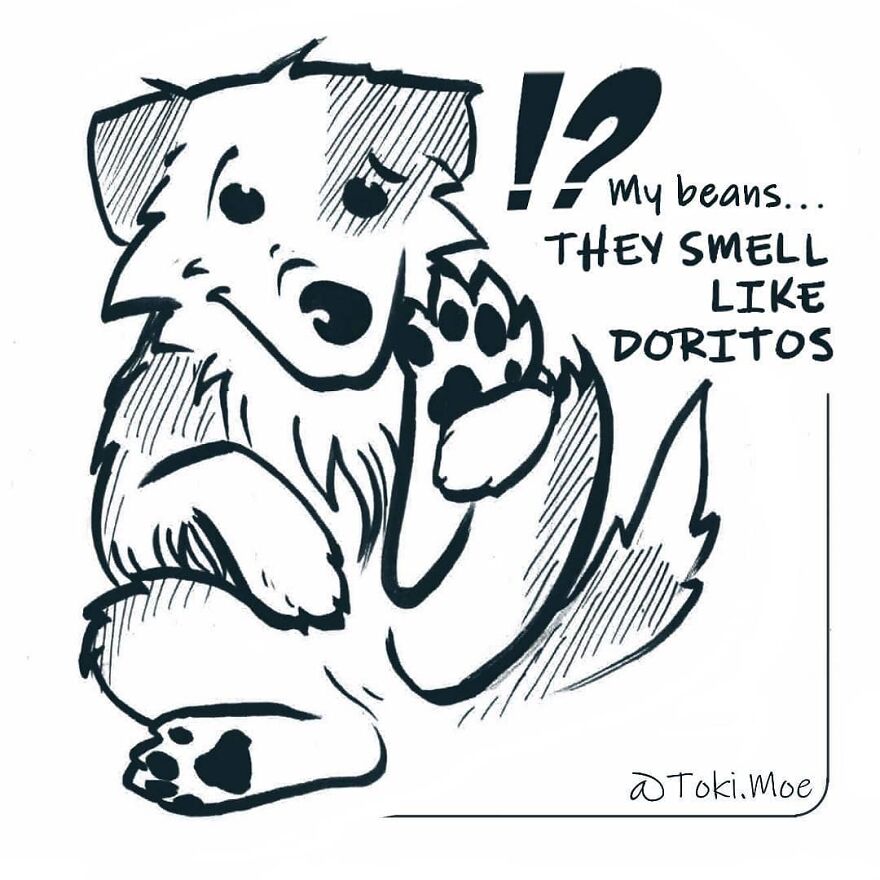 Relatable Comics That Sum Up The Simple Beauty Of Living With Our Pets!