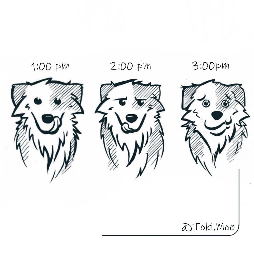 Relatable Comics That Sum Up The Simple Beauty Of Living With Our Pets!