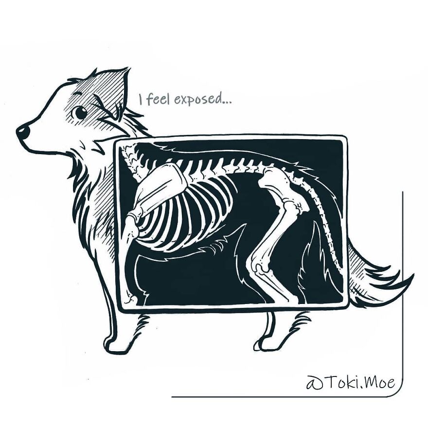 Relatable Comics That Sum Up The Simple Beauty Of Living With Our Pets!