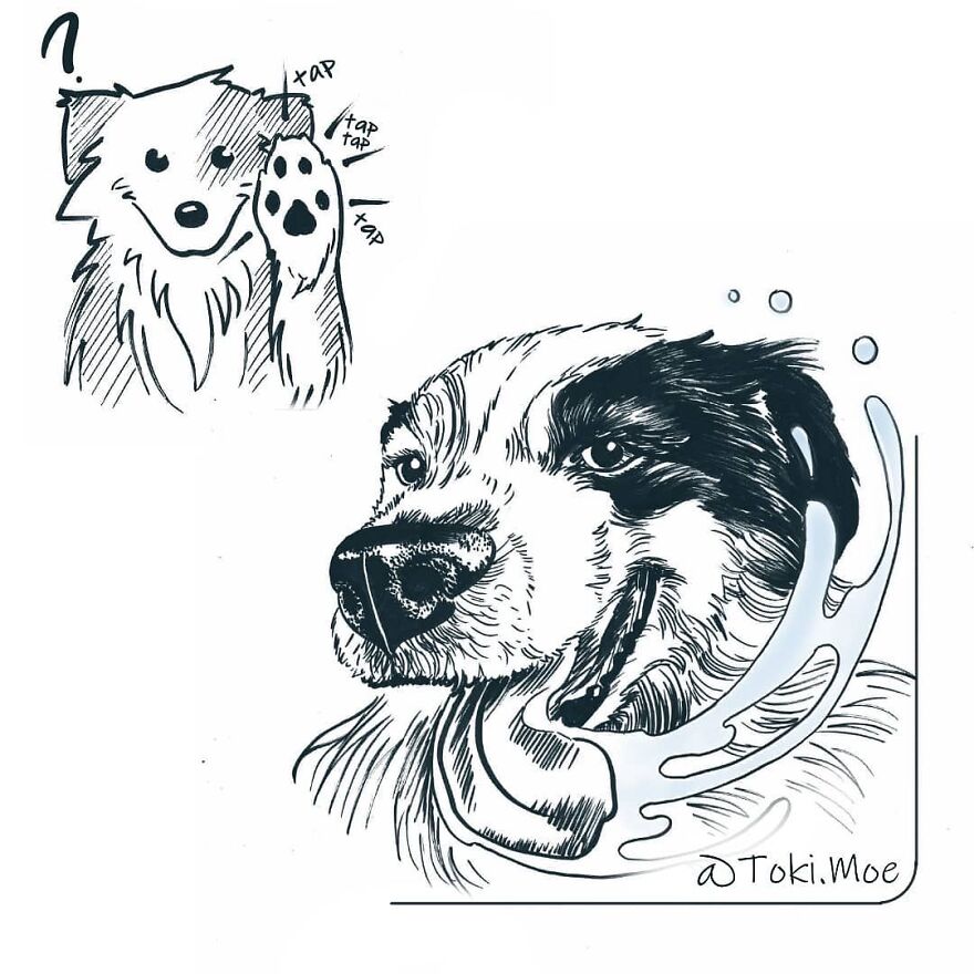 Relatable Comics That Sum Up The Simple Beauty Of Living With Our Pets!