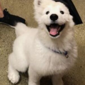 kathrynquadrini avatar