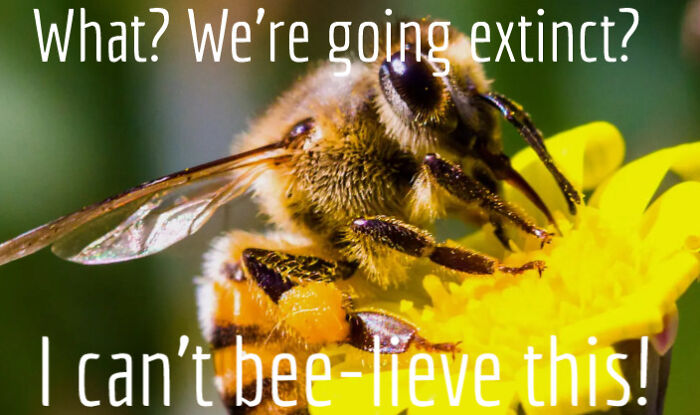 Not Exactly A Meme, Original, Picture From The Internet, Words Added In By Me.