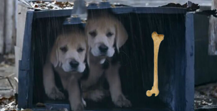 Not My Best Work, But He Needed A Friend