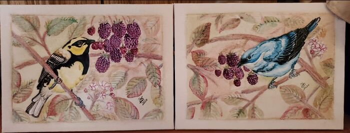 Two Birds And Some Blackberries I Painted For My Grandma Last Year