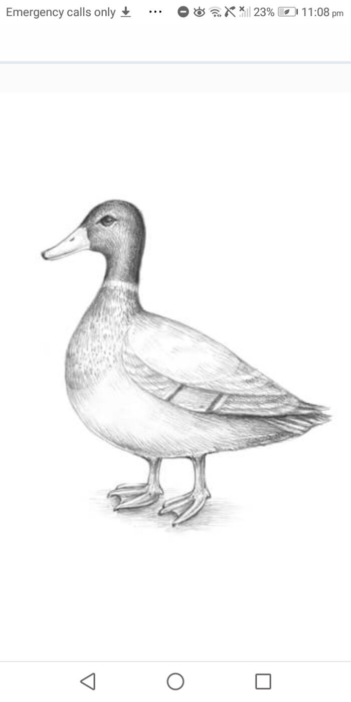 When You Get Ditched