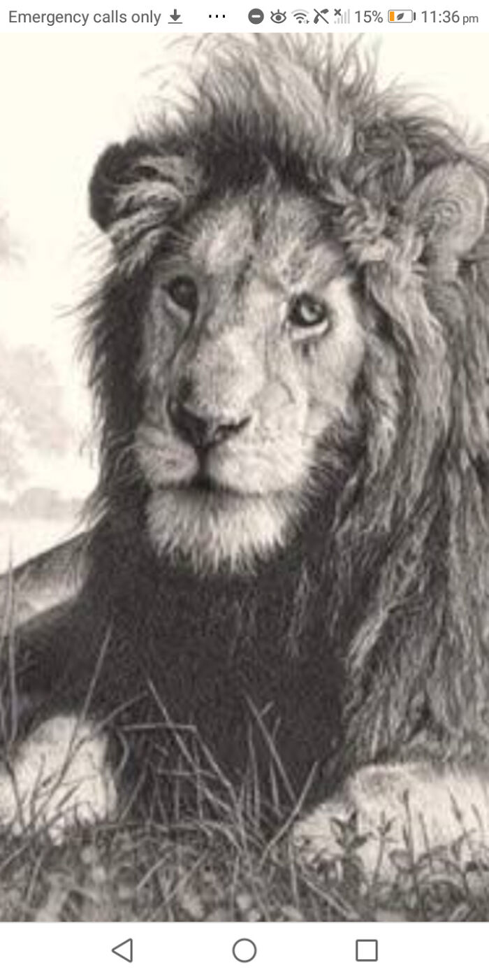 Practising Drawing Here Is My Bad Drawing