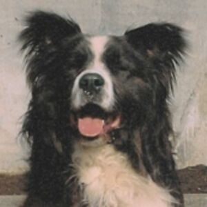 mariannenycred714pendleton avatar