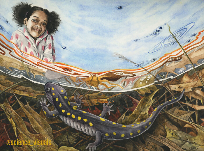 My First Illustration For A Children's Book About Children In Nature