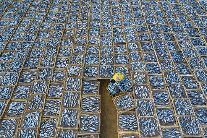 Drying Fish (Advertising/Travel/Tourism, Silver)