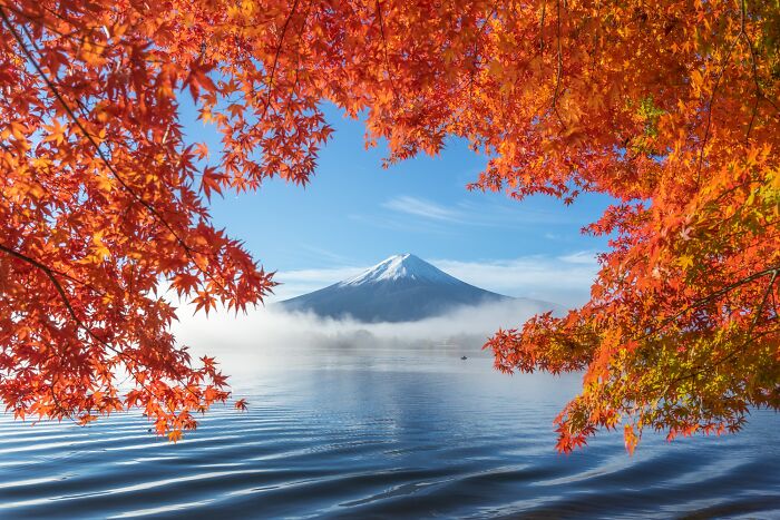 Heaven On Earth (Nature, Gold)