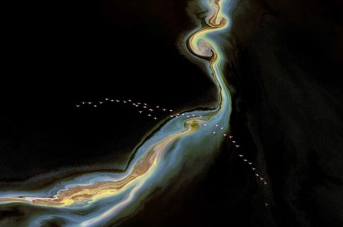 Ribbon Dance (Nature/Aerial, 1st Place)