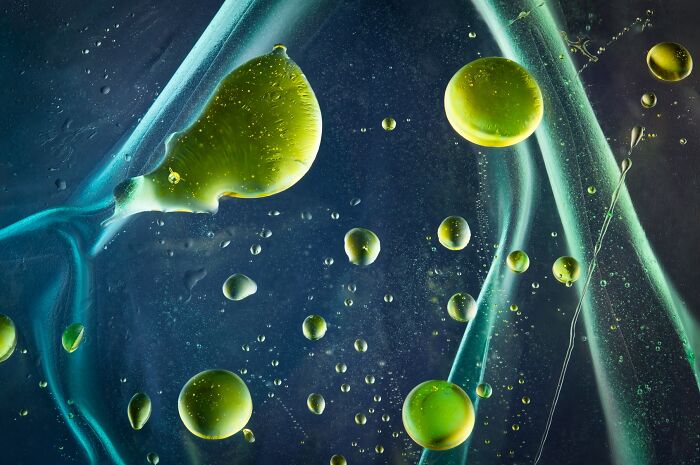 Viveria (Science, 1st Place)