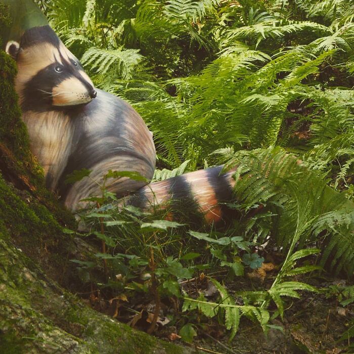 The Animals Painted On This Artist's Contorted Models Will Stir Your Mind