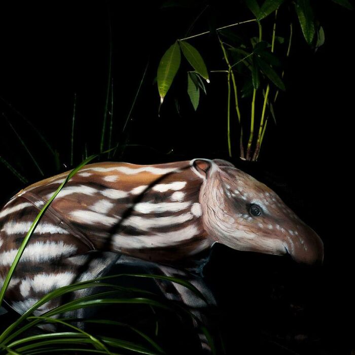 The Animals Painted On This Artist's Contorted Models Will Stir Your Mind