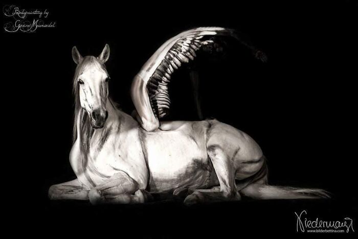 The Animals Painted On This Artist's Contorted Models Will Stir Your Mind