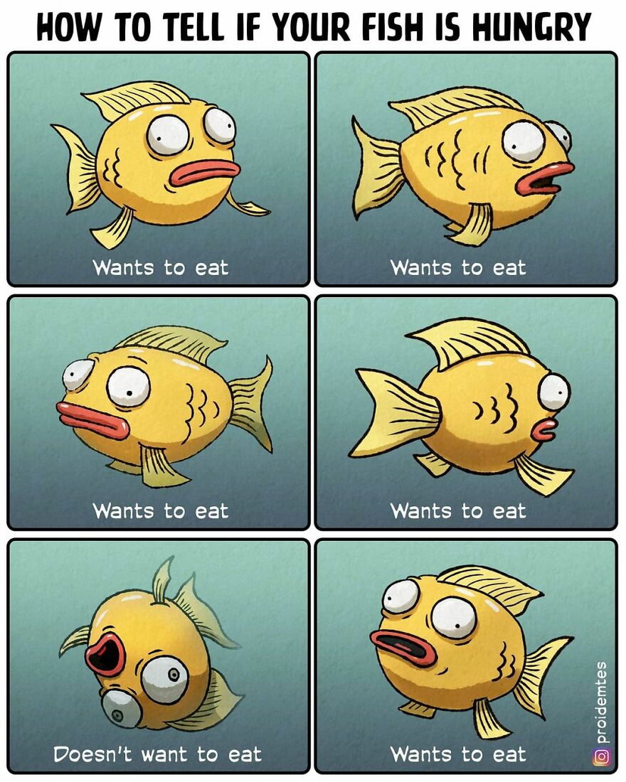 Fish Language. Tip Number 1