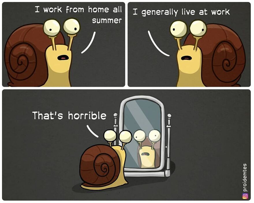 How I Spent This Summer