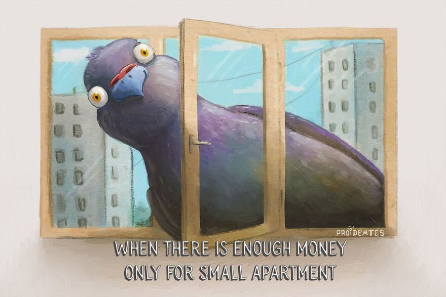 Pigeons. Pigeons Are Everywhere