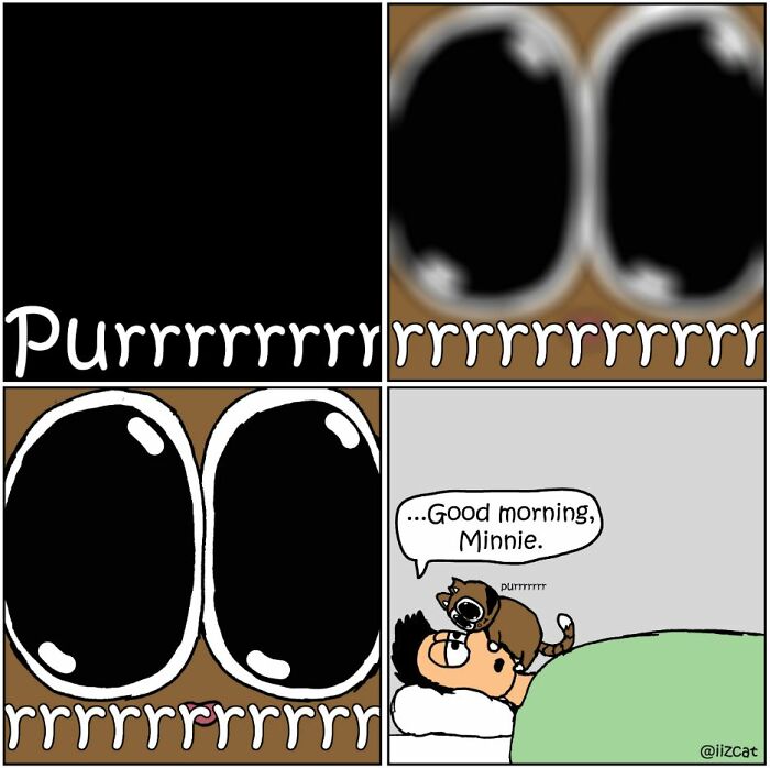 This Artist Makes Fun Comics That Cat Owners Will Understand Very Well